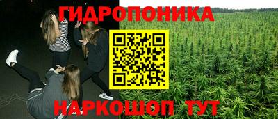 ГАЛЛЮЦИНОГЕННЫЕ ГРИБЫ Кимры